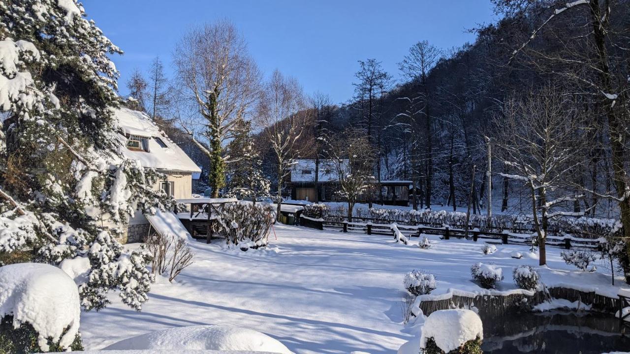 Appartamento Agroturystyka Spa Zelków Esterno foto